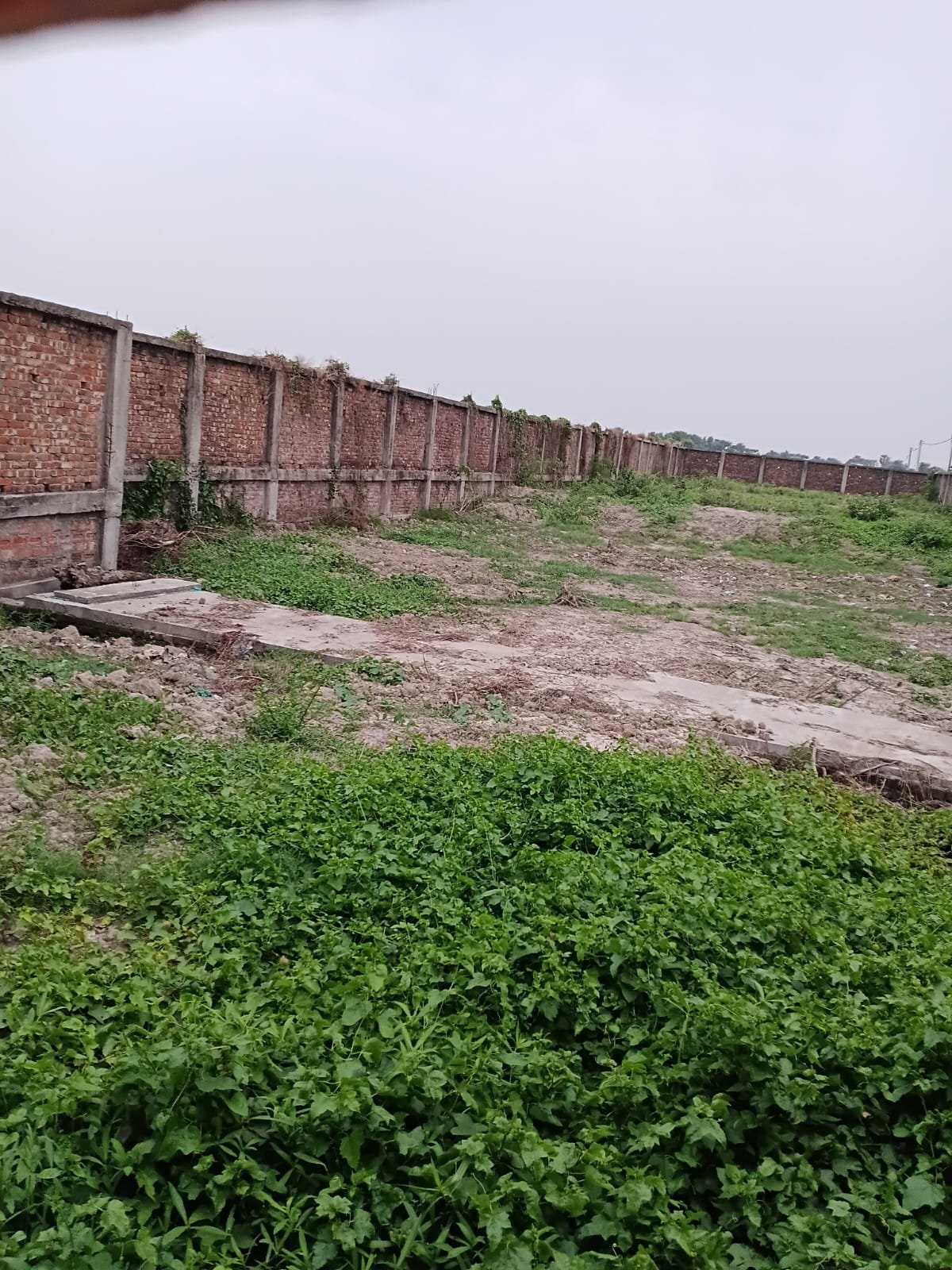 Bakkhali Property Image